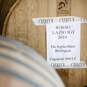 ga12092012_az Ciucci_044